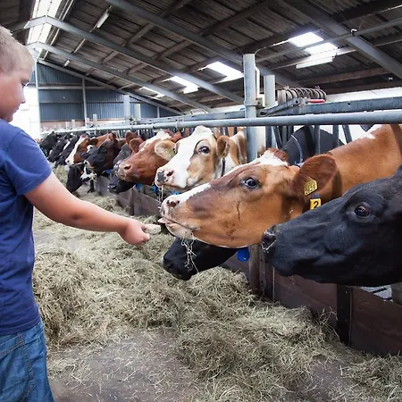 Farm Overleekerhoeve