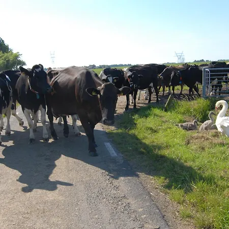 Casa de hóspedes Farm Overleekerhoeve Monnickendam