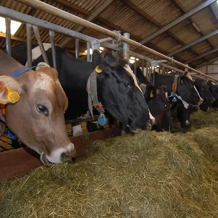 Farm Overleekerhoeve