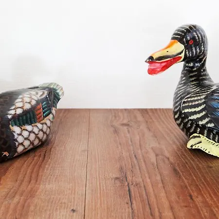 Farm Overleekerhoeve Gæstehus 3*