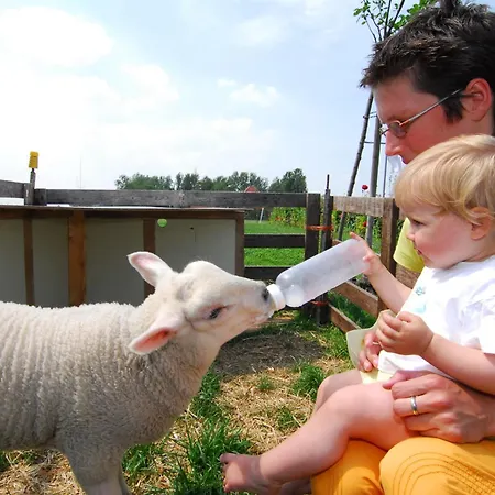 Farm Overleekerhoeve Monnickendam